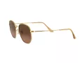 Ray-Ban Hexagonal Naočare za sunce 3548N 912443