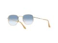 Ray-Ban Hexagonal Naočare za sunce RB 3548 001/3F