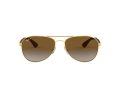 Ray-Ban Naočare za sunce RB 3549 001/T5