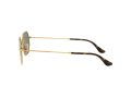 Ray-Ban Octagonal Naočare za sunce 3556N 001