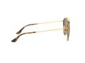 Ray-Ban Naočare za sunce RB 3647N 001/57