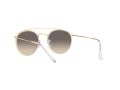 Ray-Ban Naočare za sunce 3647N 923632