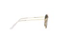 Ray-Ban Naočare za sunce RB 3647N 9238/71