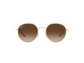 Ray-Ban Naočare za sunce RB 3681 001/13