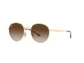 Ray-Ban Naočare za sunce RB 3681 001/13