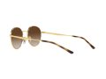 Ray-Ban Naočare za sunce RB 3681 001/13