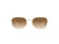 Ray-Ban Naočare za sunce RB 3706 001/51