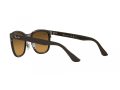 Ray-Ban Clyde Naočare za sunce RB 3709 9259A2