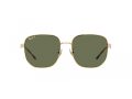 Ray-Ban Naočare za sunce RB 3713D 001/9A