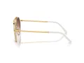 Ray-Ban Naočare za sunce RB 0RB3765 001/4O