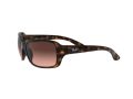 Ray-Ban Rb4068 Naočare za sunce RB 4068 642/A5
