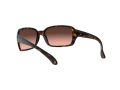 Ray-Ban Rb4068 Naočare za sunce RB 4068 642/A5