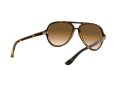 Ray-Ban Cats 5000 Naočare za sunce RB 4125 710/51