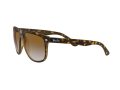 Ray-Ban Boyfriend Naočare za sunce RB 4147 710/51