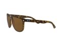 Ray-Ban Boyfriend Naočare za sunce RB 4147 710/57