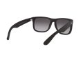 Ray-Ban Justin Naočare za sunce 4165 601/8G