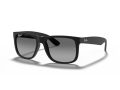 Ray-Ban Justin Naočare za sunce 4165 622/T3