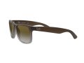 Ray-Ban Justin Naočare za sunce RB 4165 854/7Z