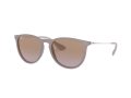Ray-Ban Erika Naočare za sunce RB 4171 6000/68