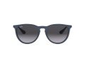 Ray-Ban Erika Naočare za sunce RB 4171 6002/8G