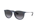 Ray-Ban Erika Naočare za sunce RB 4171 6002/8G