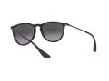 Ray-Ban Erika Naočare za sunce RB 4171 622/8G