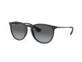 Ray-Ban Erika Naočare za sunce RB 4171 622/T3