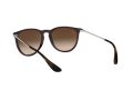 Ray-Ban Erika Naočare za sunce RB 4171 6315/13