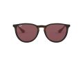 Ray-Ban Erika Naočare za sunce RB 4171 6391/75