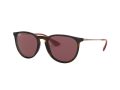Ray-Ban Erika Naočare za sunce RB 4171 6391/75