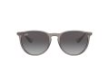 Ray-Ban Erika Naočare za sunce RB 4171 6513/8G