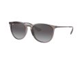 Ray-Ban Erika Naočare za sunce RB 4171 6513/8G