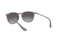 Ray-Ban Erika Naočare za sunce RB 4171 6513/8G
