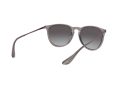 Ray-Ban Erika Naočare za sunce RB 4171 6513/8G