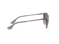 Ray-Ban Erika Naočare za sunce RB 4171 6513/8G