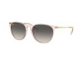Ray-Ban Erika Naočare za sunce RB 4171 674211