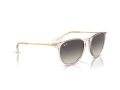Ray-Ban Erika Naočare za sunce RB 4171 674211