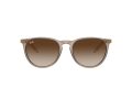 Ray-Ban Erika Naočare za sunce RB 4171 674413