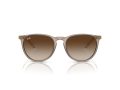 Ray-Ban Erika Naočare za sunce RB 4171 674413
