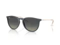 Ray-Ban Erika Naočare za sunce RB 4171 681311