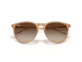Ray-Ban Erika Naočare za sunce RB 4171 681413
