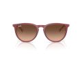 Ray-Ban Erika Naočare za sunce RB 4171 6815A5