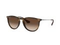 Ray-Ban Erika Naočare za sunce RB 4171 865/13