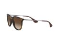 Ray-Ban Erika Naočare za sunce RB 4171 865/13