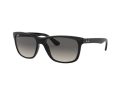 Ray-Ban Rb4181 Naočare za sunce RB 4181 601/71