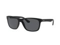 Ray-Ban Rb4181 Naočare za sunce RB 4181 601/87