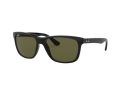 Ray-Ban Rb4181 Naočare za sunce RB 4181 601/9A