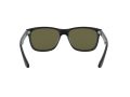 Ray-Ban Rb4181 Naočare za sunce RB 4181 601/9A