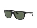 Ray-Ban Rb4181 Naočare za sunce RB 4181 601