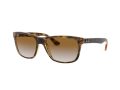 Ray-Ban Rb4181 Naočare za sunce RB 4181 710/51